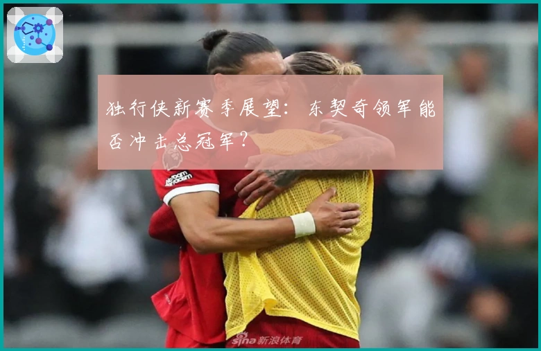 独行侠新赛季展望：东契奇领军能否冲击总冠军？