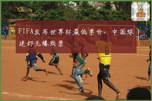 FIFA发布世界杯最低票价，中国球迷却无缘购票