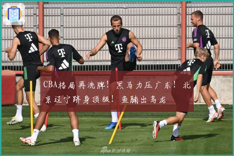 CBA格局再洗牌！黑马力压广东！北京辽宁跻身顶级！鱼腩出乌龙