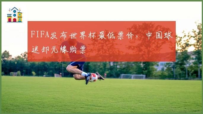FIFA发布世界杯最低票价，中国球迷却无缘购票
